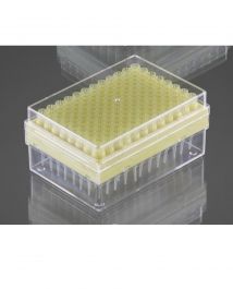 Eppendorf Pipette Tips - IMS Euro